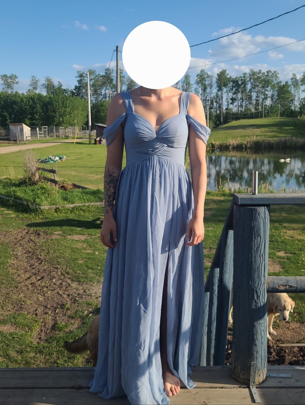 Aritzia Light Blue Chiffon Maxi Dress